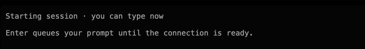 Observed on this Mac: Starting session, with prompts queued until the connection is ready.
