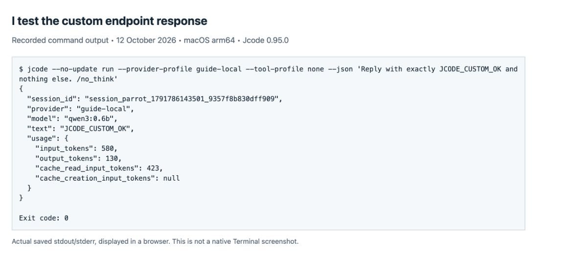 My named custom endpoint returned JCODE_CUSTOM_OK from the local model.