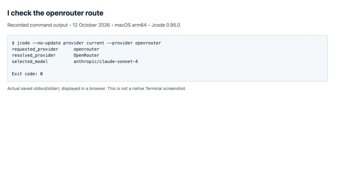 My OpenRouter route check; the separate guide records the earlier live account tests.