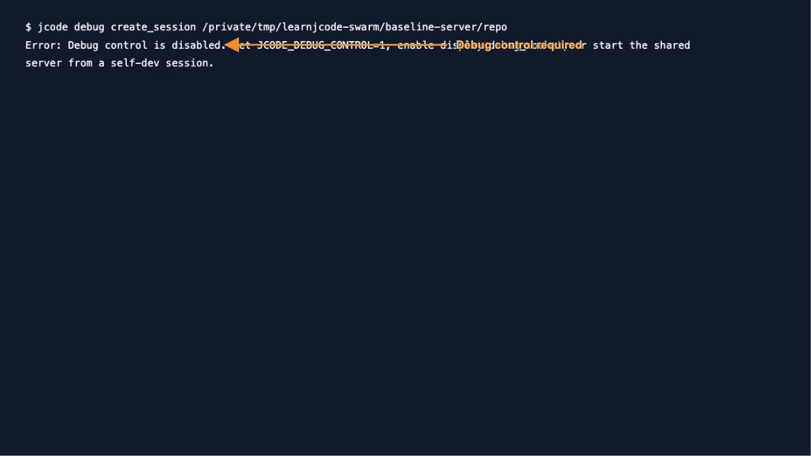 Debug control required — actual Jcode test output