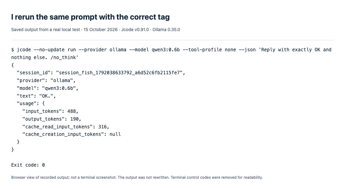 My corrected Jcode run returns the local model response OK. and exits with code 0.